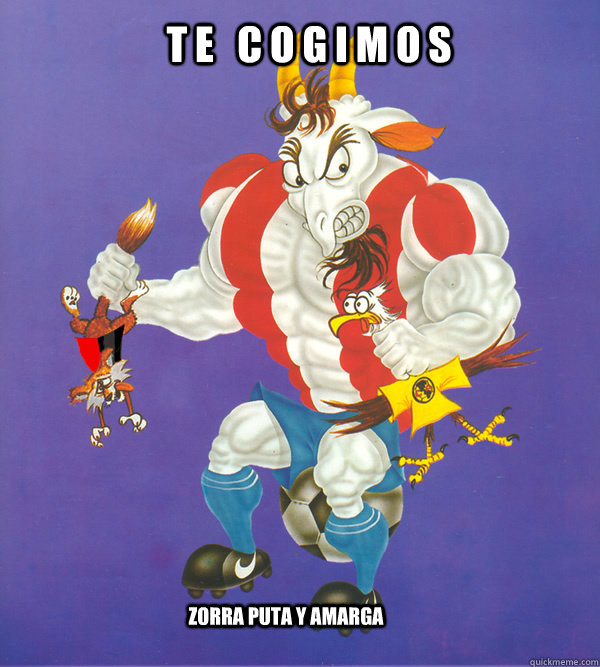 T E   C O G I M O S ZORRA PUTA Y AMARGA  chivas