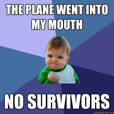 The plane went into my mouth no survivors  Success Kid