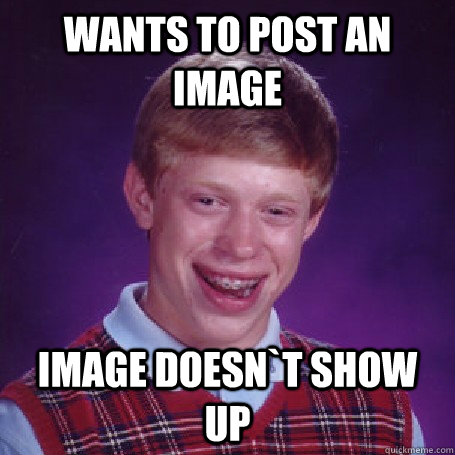 Wants to post an image image doesn`t show up - Wants to post an image image doesn`t show up  bad luck brian first day on reddit