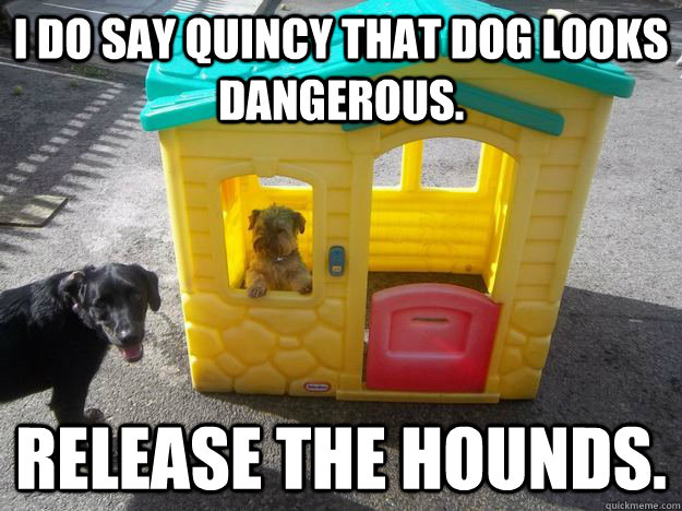 I do say Quincy that dog looks dangerous. release the hounds.  - I do say Quincy that dog looks dangerous. release the hounds.   Upper Class White Dog