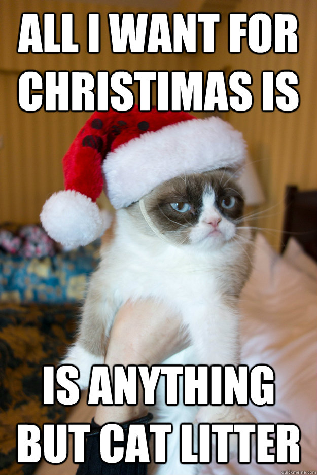 All I want for christimas is is anything but cat litter   Grumpy xmas