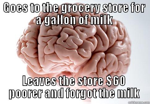 GOES TO THE GROCERY STORE FOR A GALLON OF MILK LEAVES THE STORE $60 POORER AND FORGOT THE MILK Scumbag Brain