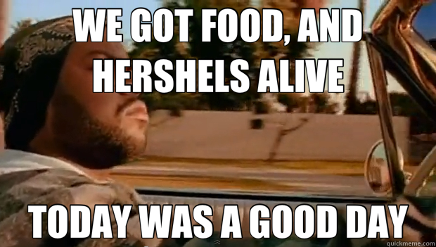 WE GOT FOOD, AND HERSHELS ALIVE TODAY WAS A GOOD DAY - WE GOT FOOD, AND HERSHELS ALIVE TODAY WAS A GOOD DAY  Misc