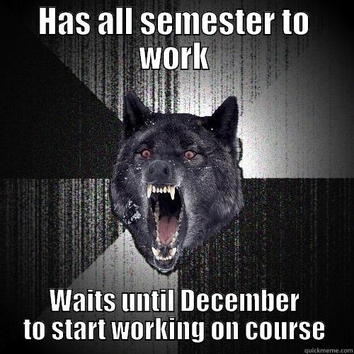 HAS ALL SEMESTER TO WORK WAITS UNTIL DECEMBER TO START WORKING ON COURSE Insanity Wolf