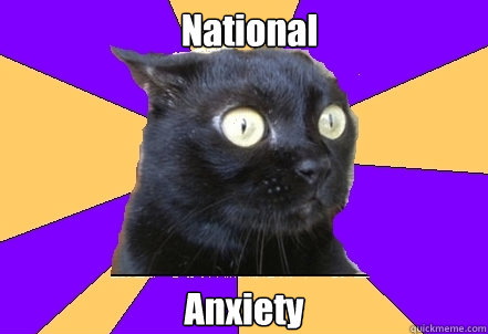 National Anxiety  Anxiety Cat