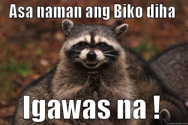 Racoon or Birthday - ASA NAMAN ANG BIKO DIHA IGAWAS NA ! Evil Plotting Raccoon