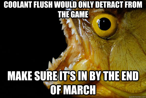 Coolant flush would only detract from the game Make sure it's in by the end of March - Coolant flush would only detract from the game Make sure it's in by the end of March  The Promising Piranha