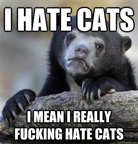 i hate cats i mean i really fucking hate cats  Confession Bear