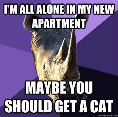 I'm all alone in my new apartment Maybe you should get a cat - I'm all alone in my new apartment Maybe you should get a cat  Sexually Oblivious Rhino