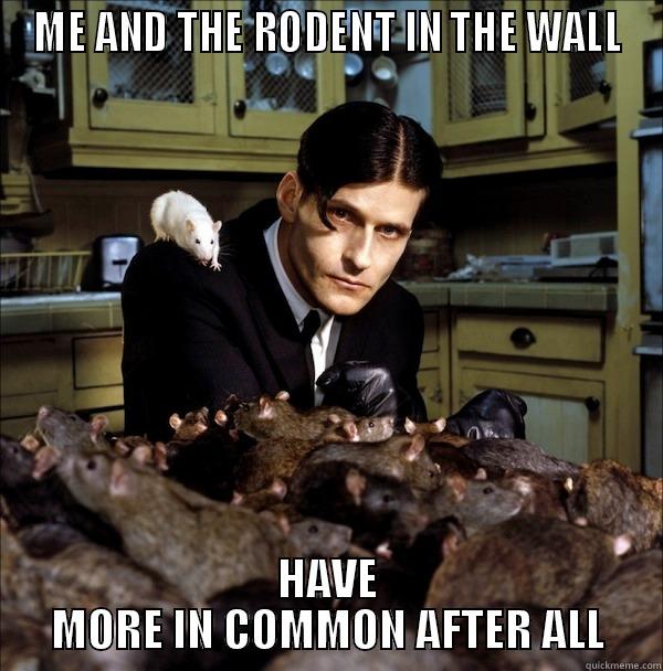 ME AND THE RODENT IN THE WALL HAVE MORE IN COMMON AFTER ALL Misc