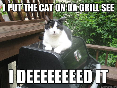 I PUT THE CAT ON DA GRILL SEE I DEEEEEEEED IT  Catondagrill