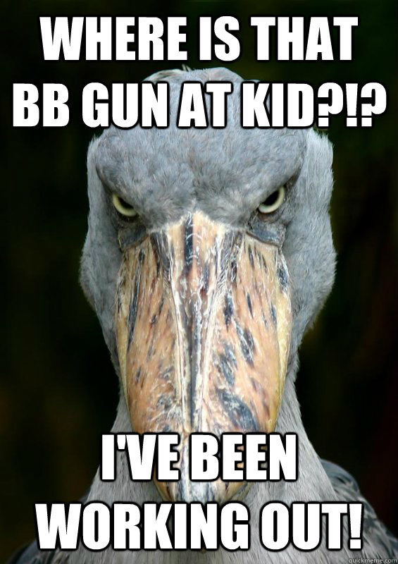 where is that bb gun at kid?!? i've been working out! - where is that bb gun at kid?!? i've been working out!  actually angry bird