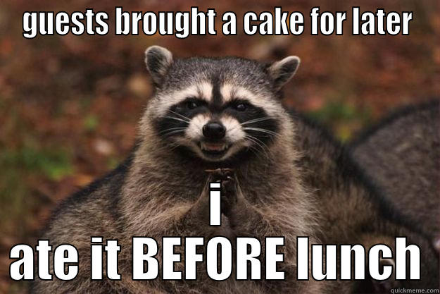 GUESTS BROUGHT A CAKE FOR LATER I ATE IT BEFORE LUNCH Evil Plotting Raccoon