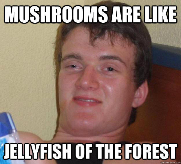 Mushrooms are like jellyfish of the forest - Mushrooms are like jellyfish of the forest  10 Guy