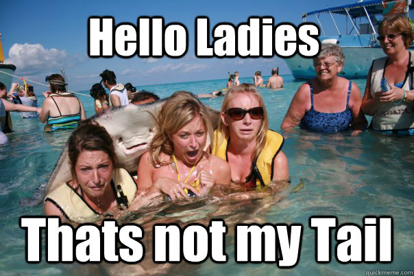 Hello Ladies Thats not my Tail  Pervert Stingray