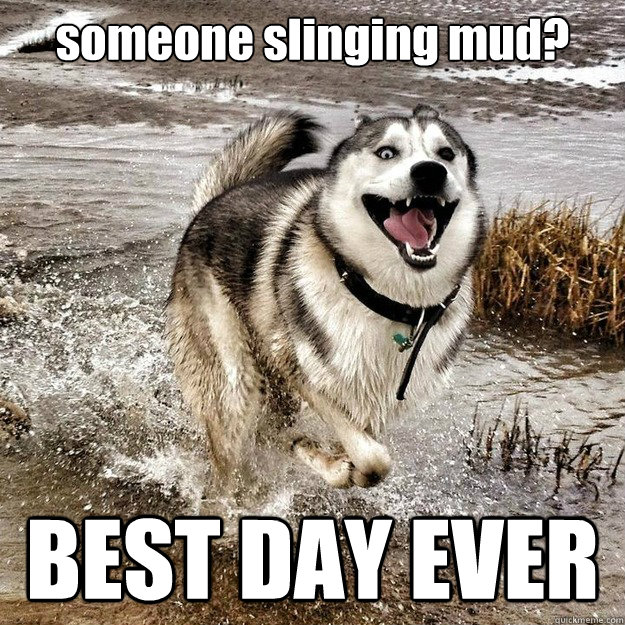 someone slinging mud? BEST DAY EVER  