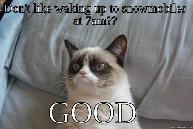 DON'T LIKE WAKING UP TO SNOWMOBILES AT 7AM?? GOOD Grumpy Cat