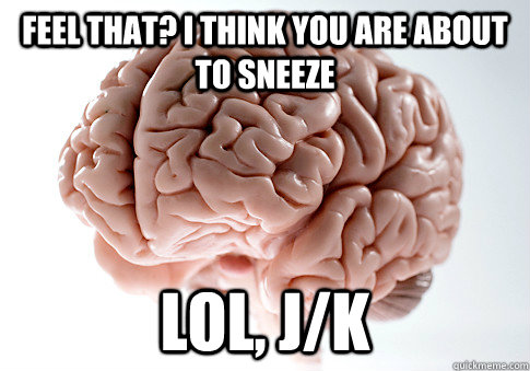 FEEL THAT? I THINK YOU ARE ABOUT TO SNEEZE  LOL, J/K - FEEL THAT? I THINK YOU ARE ABOUT TO SNEEZE  LOL, J/K  Scumbag Brain