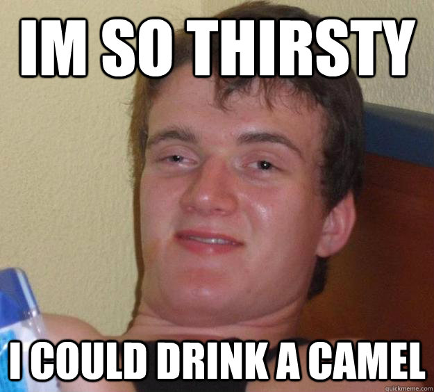 IM So thirsty I could drink a camel  10 Guy