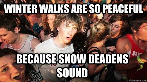 Winter walks are so peaceful because snow deadens sound  Sudden Clarity Clarence