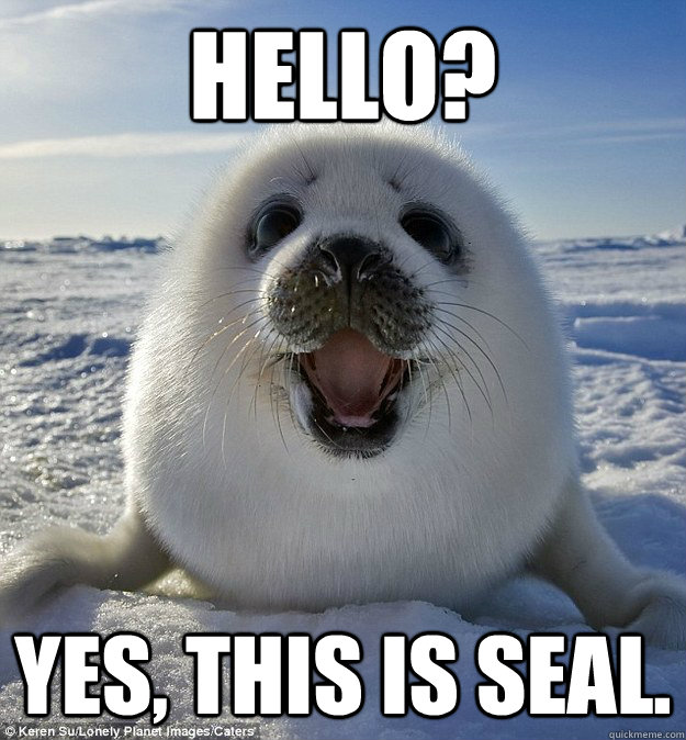 HELLO? YES, THIS IS SEAL.  Easily Pleased Seal
