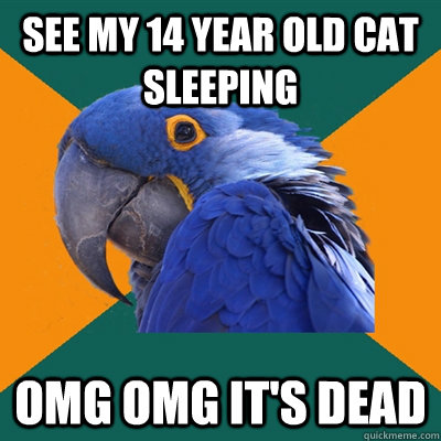 See my 14 year old cat sleeping OMG OMG IT'S DEAD  Paranoid Parrot