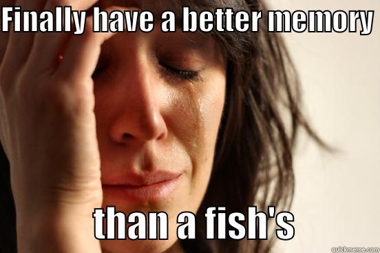 FINALLY HAVE A BETTER MEMORY              THAN A FISH'S           First World Problems