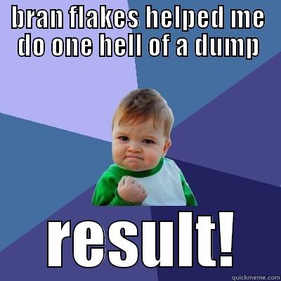 BRAN FLAKES HELPED ME DO ONE HELL OF A DUMP  RESULT! Success Kid