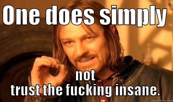 ONE DOES SIMPLY  NOT TRUST THE FUCKING INSANE. Boromir