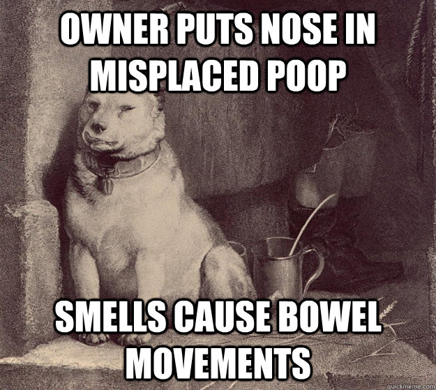 Owner puts nose in misplaced poop Smells cause bowel movements  Pavlovs Silly Dog