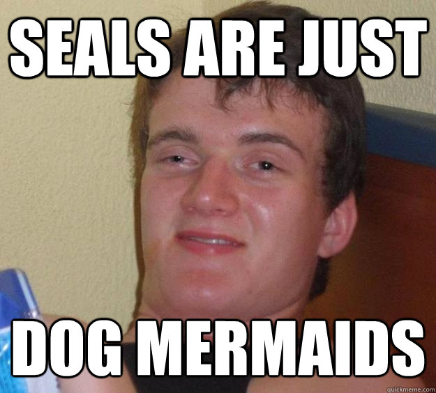 Seals are just dog mermaids  10 Guy
