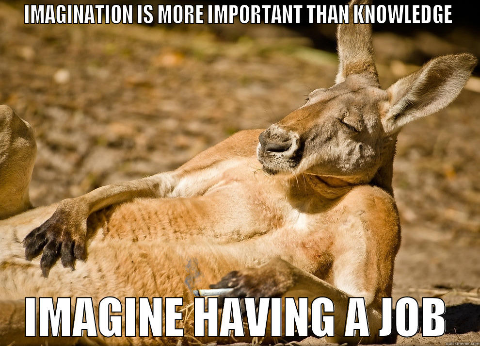 IMAGINATION IS MORE IMPORTANT THAN KNOWLEDGE IMAGINE HAVING A JOB Misc