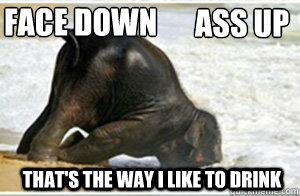 Face Down Ass Up That's the way i like to drink - Face Down Ass Up That's the way i like to drink  Thirsty Elephant