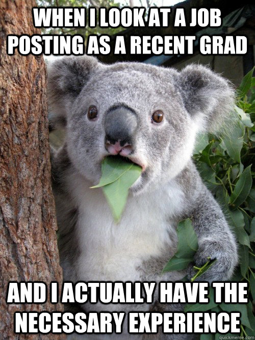 When I look at a job posting as a recent grad and I actually have the necessary experience  Surprised Koala