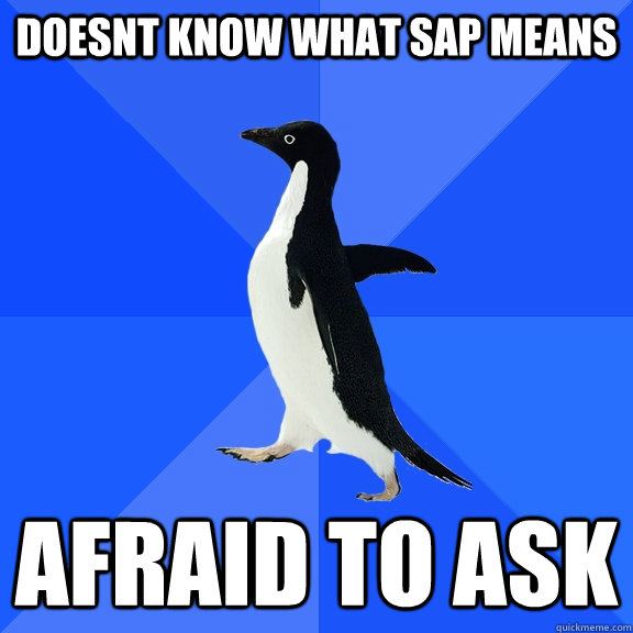Doesnt know what sap means afraid to ask  Socially Awkward Penguin