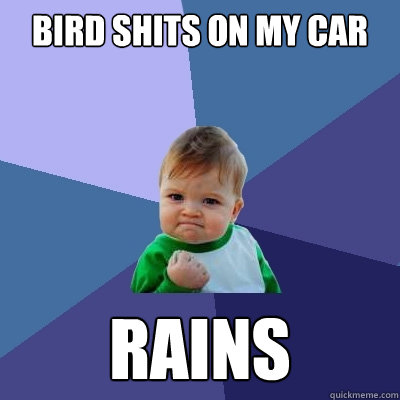 Bird shits on my car rains  Success Kid