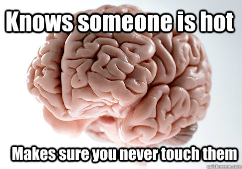 Knows someone is hot Makes sure you never touch them  Scumbag Brain