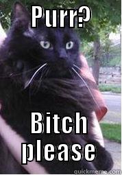      PURR?         BITCH PLEASE Misc