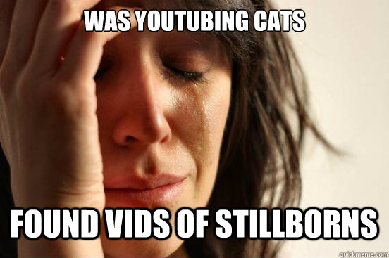 was youtubing cats found vids of stillborns   First World Problems