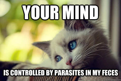 Your mind Is controlled by parasites in my feces  First World Problems Cat