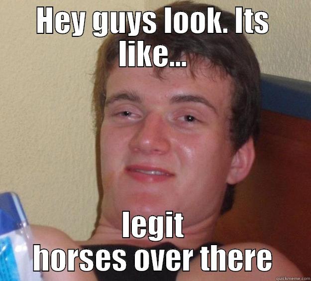 HEY GUYS LOOK. ITS LIKE... LEGIT HORSES OVER THERE 10 Guy