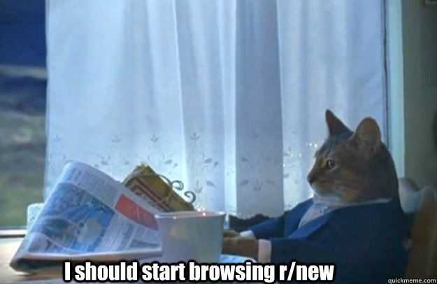 I should start browsing r/new  Sophisticated Cat is broke