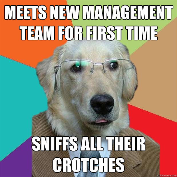 Meets new management team for first time Sniffs all their crotches  Business Dog