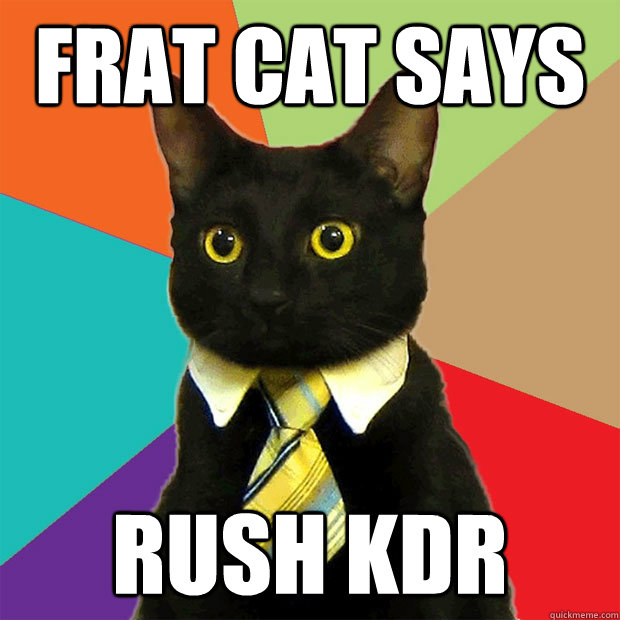 FRAT CAT says RUSH KDR - FRAT CAT says RUSH KDR  Business Cat