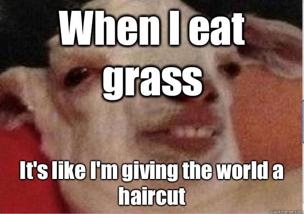 When I eat grass It's like I'm giving the world a haircut  