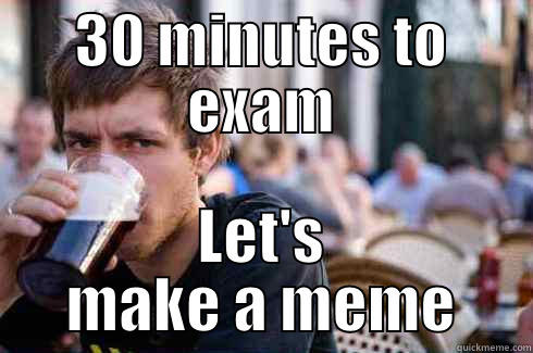 30 MINUTES TO EXAM LET'S MAKE A MEME Lazy College Senior