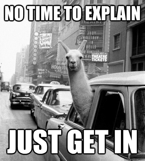 no time to explain just get in - no time to explain just get in  llama gangster
