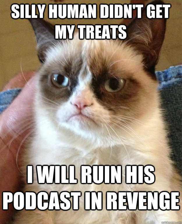 Silly human didn't get my treats i will ruin his podcast in revenge  Grumpy Cat