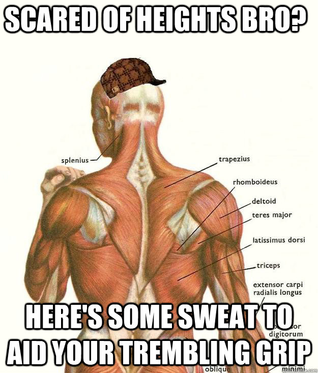 Scared of heights bro? Here's some sweat to aid your trembling grip  Scumbag body