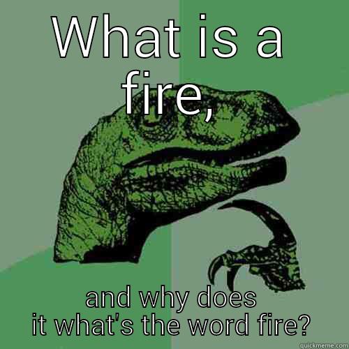 WHAT IS A FIRE, AND WHY DOES IT WHAT'S THE WORD FIRE? Philosoraptor